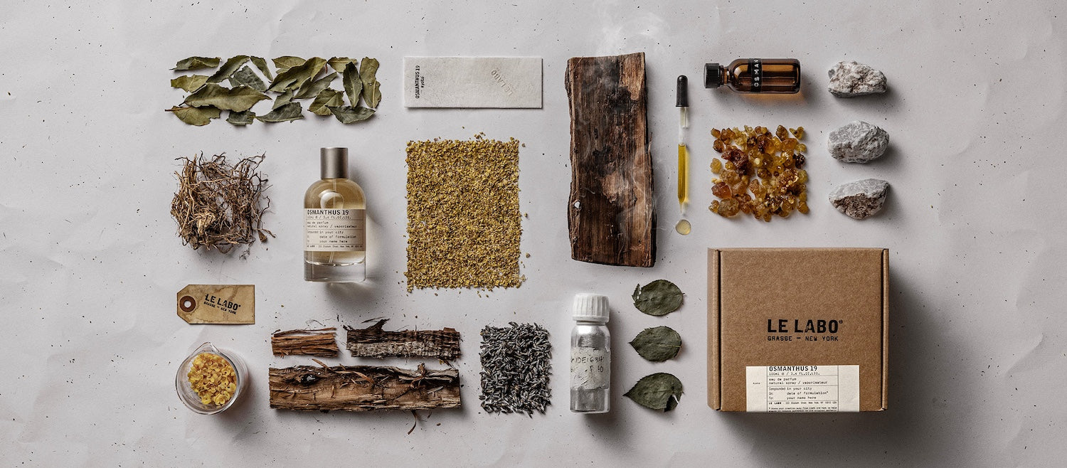 OSMANTHUS 19(オスマンサス 19)