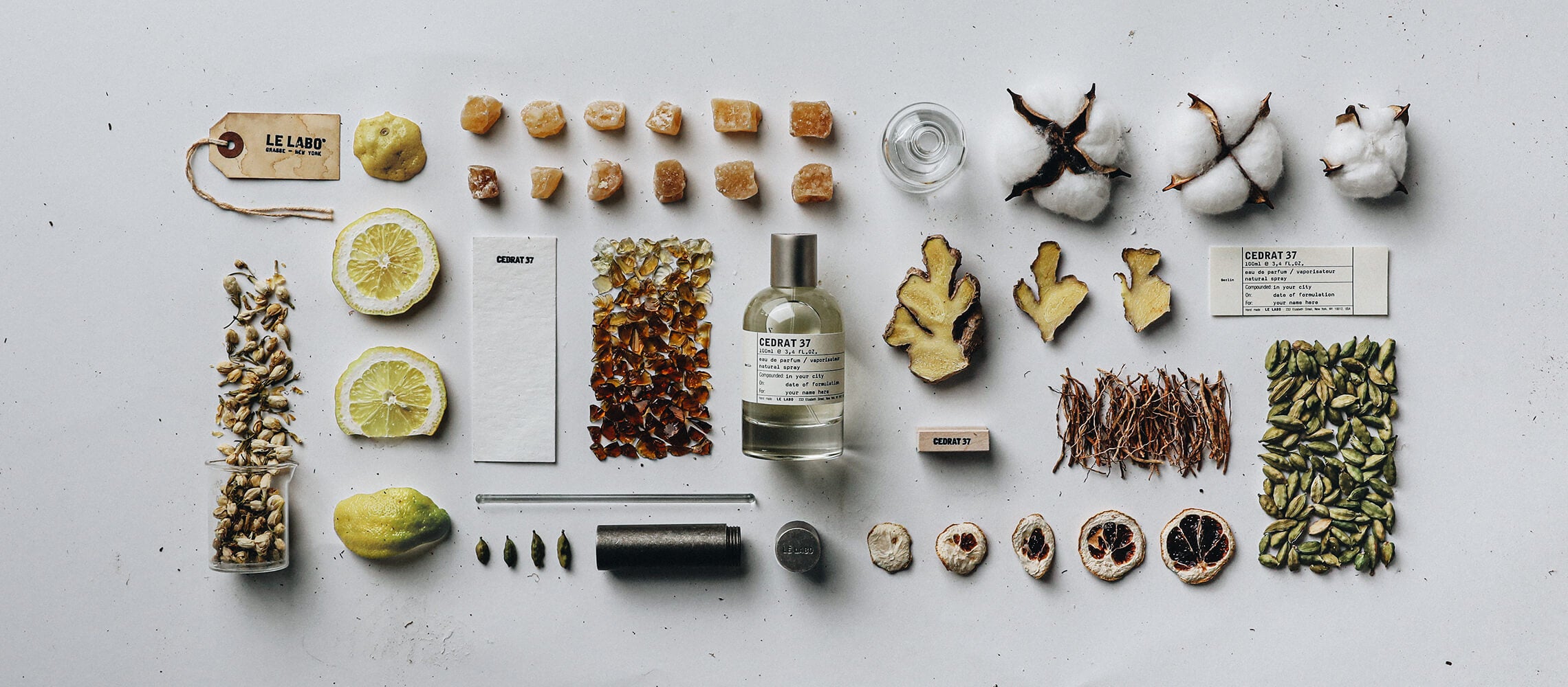 CEDRAT 37 (セドラ 37)