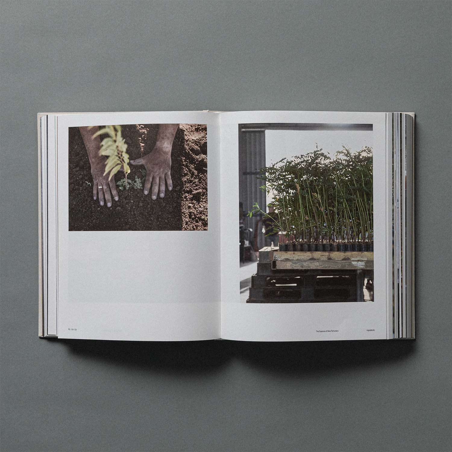 THE ESSENCE OF SLOW PERFUMERY BOOK – ル ラボ 公式オンラインショップ