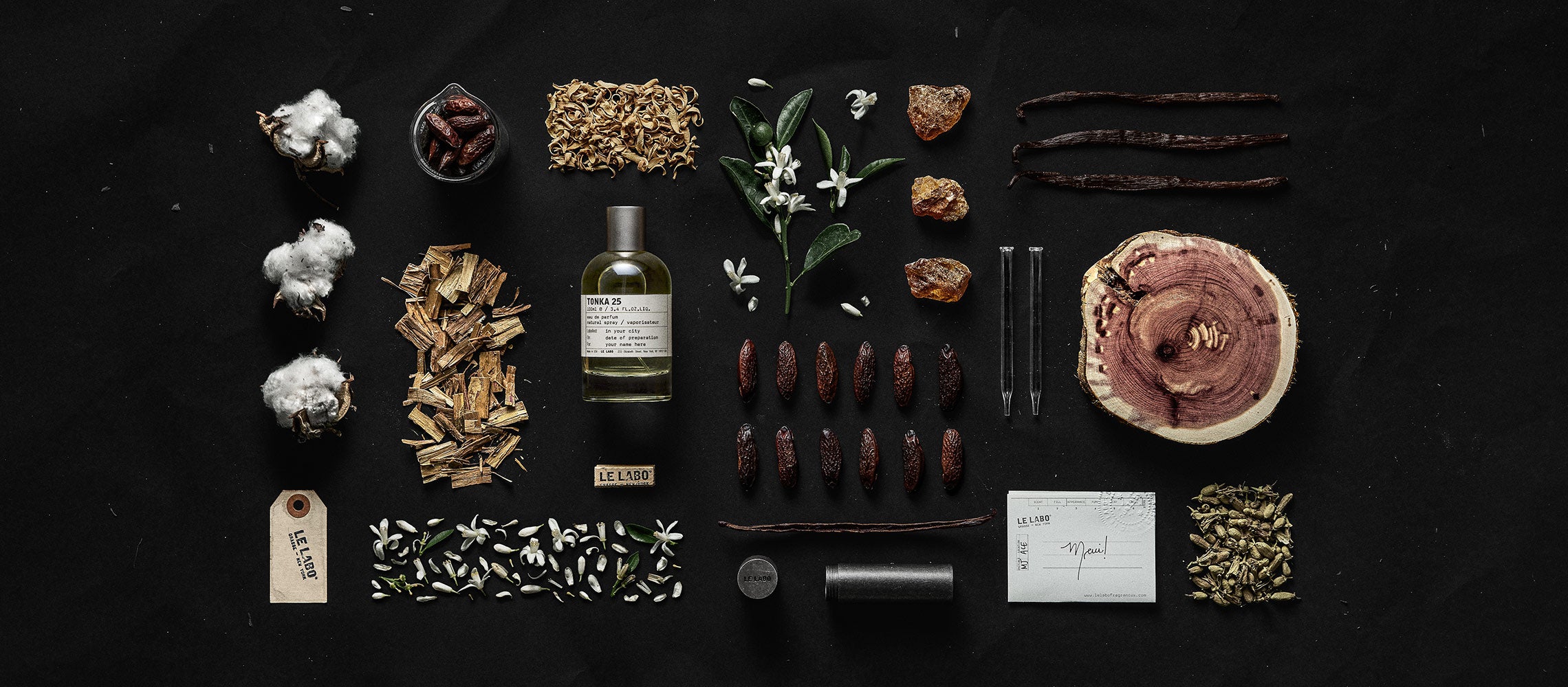 TONKA 25 (トンカ 25)